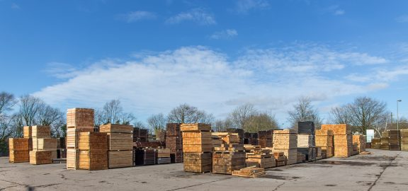 Premier Forest restarts Croespenmaen timber production
