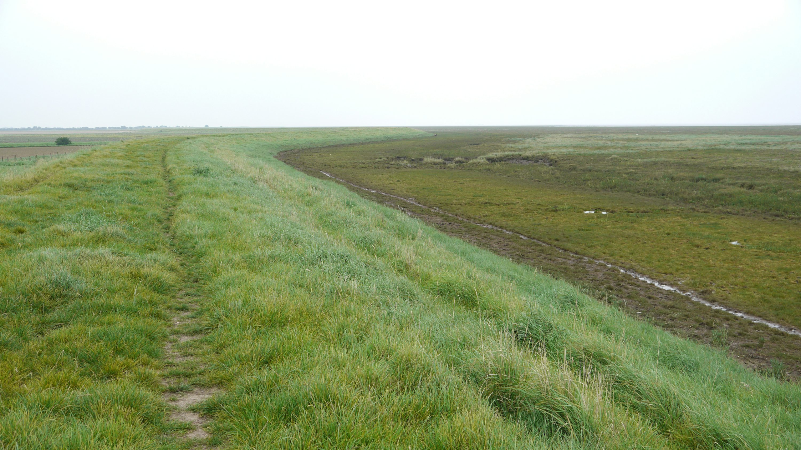 Greatham flood scheme clears planning for 2027 start