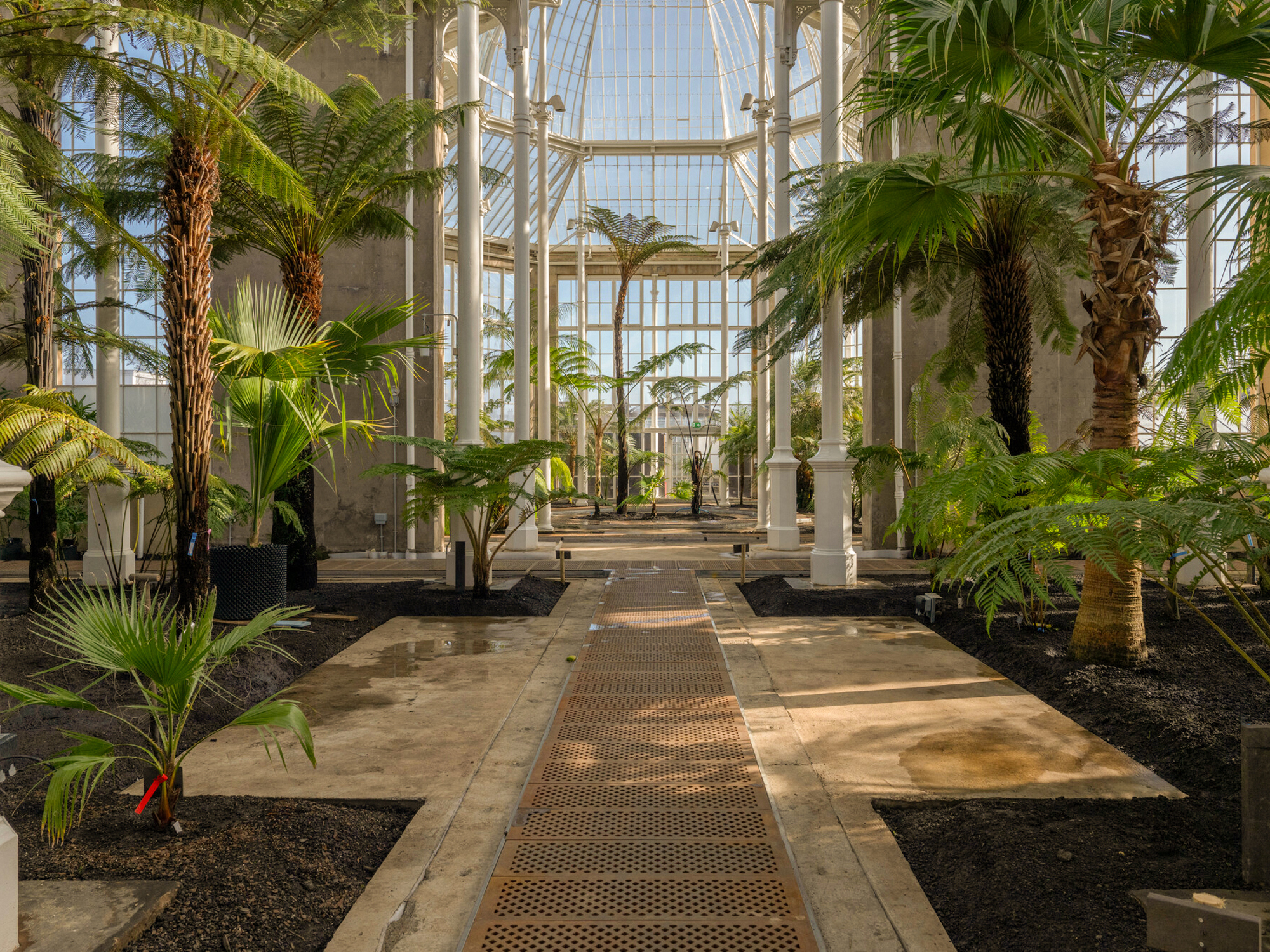Edinburgh Palm Houses reopen after restoration